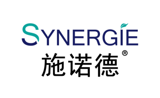 SYNERGIE.png